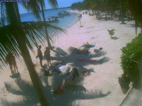 akumal bay webcam|Akumal Beach Webcam: Your Window to Paradise